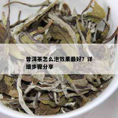 普洱茶怎么泡效果更好？详细步骤分享