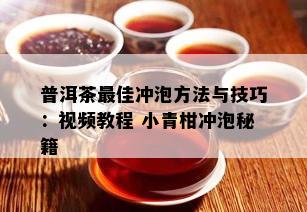 普洱茶更佳冲泡方法与技巧：视频教程 小青柑冲泡秘籍