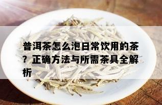 普洱茶怎么泡日常饮用的茶？正确方法与所需茶具全解析