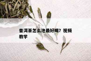 普洱茶怎么泡更好喝？视频教学