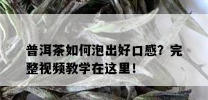 普洱茶如何泡出好口感？完整视频教学在这里！