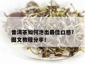 普洱茶如何泡出更佳口感？图文教程分享！