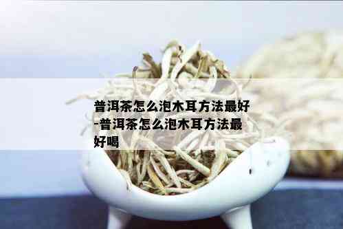 普洱茶怎么泡木耳方法更好-普洱茶怎么泡木耳方法更好喝