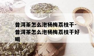 普洱茶怎么泡杨梅荔枝干-普洱茶怎么泡杨梅荔枝干好喝