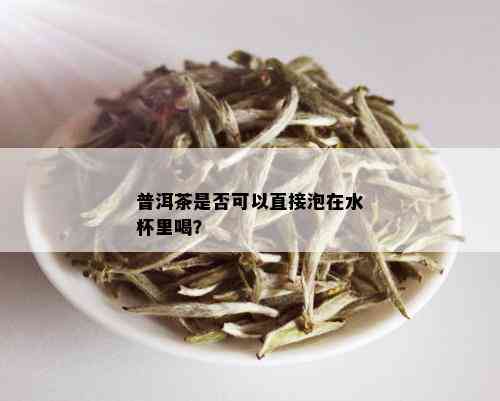 普洱茶是否可以直接泡在水杯里喝？