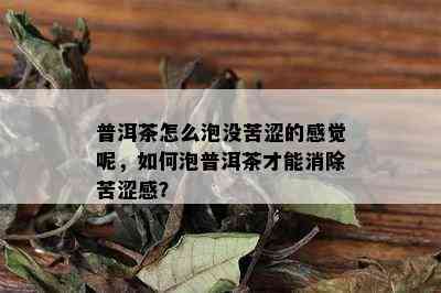 普洱茶怎么泡没苦涩的感觉呢，如何泡普洱茶才能消除苦涩感？