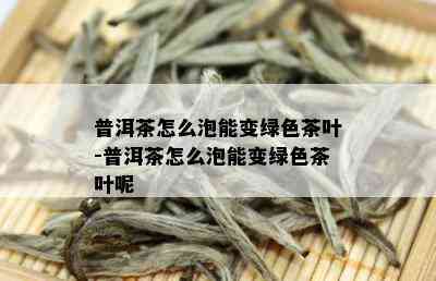 普洱茶怎么泡能变绿色茶叶-普洱茶怎么泡能变绿色茶叶呢