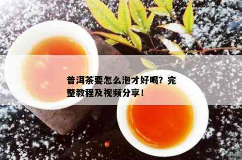 普洱茶要怎么泡才好喝？完整教程及视频分享！