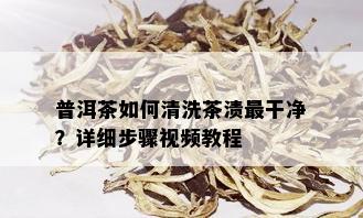 普洱茶如何清洗茶渍最干净？详细步骤视频教程