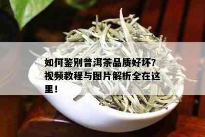 如何鉴别普洱茶品质好坏？视频教程与图片解析全在这里！