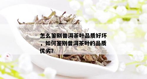 怎么鉴别普洱茶叶品质好坏，如何鉴别普洱茶叶的品质优劣？