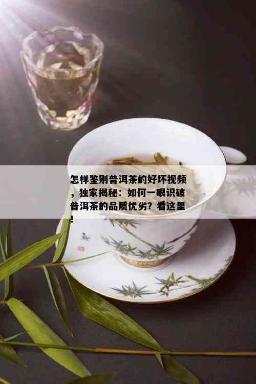 怎样鉴别普洱茶的好坏视频，独家揭秘：如何一眼识破普洱茶的品质优劣？看这里！