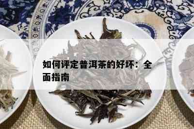 如何评定普洱茶的好坏：全面指南