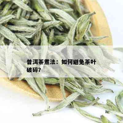 普洱茶煮法：如何避免茶叶破碎？