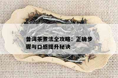 普洱茶煮法全攻略：正确步骤与口感提升秘诀