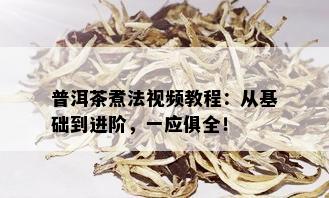 普洱茶煮法视频教程：从基础到进阶，一应俱全！