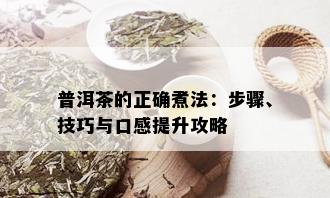 普洱茶的正确煮法：步骤、技巧与口感提升攻略