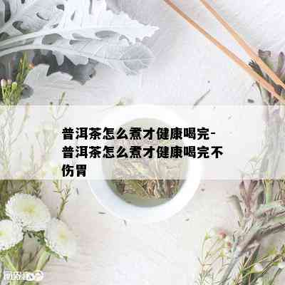 普洱茶怎么煮才健康喝完-普洱茶怎么煮才健康喝完不伤胃