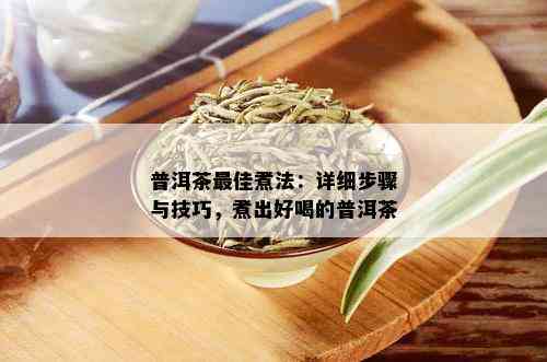 普洱茶更佳煮法：详细步骤与技巧，煮出好喝的普洱茶