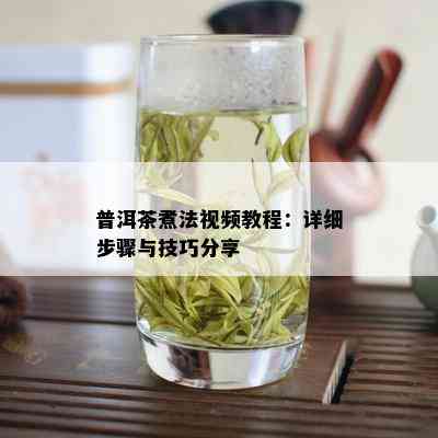 普洱茶煮法视频教程：详细步骤与技巧分享