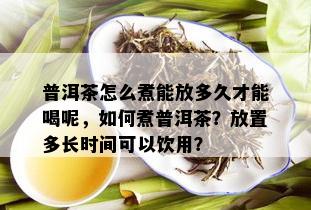 普洱茶怎么煮能放多久才能喝呢，如何煮普洱茶？放置多长时间可以饮用？