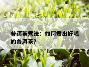 普洱茶煮法：如何煮出好喝的普洱茶？