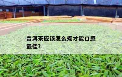 普洱茶应该怎么煮才能口感更佳？