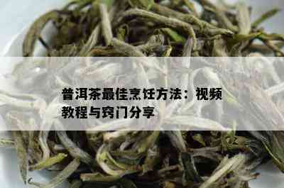 普洱茶更佳烹饪方法：视频教程与窍门分享