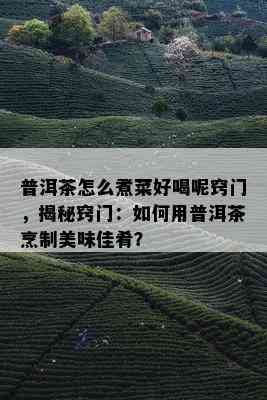 普洱茶怎么煮菜好喝呢窍门，揭秘窍门：如何用普洱茶烹制美味佳肴？