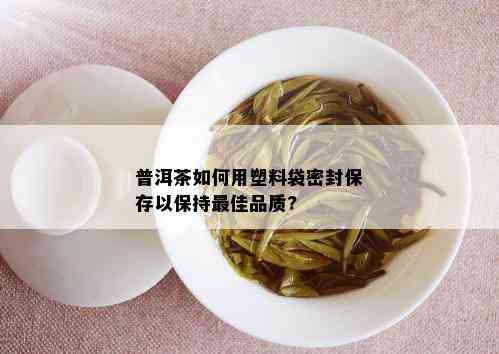 普洱茶如何用塑料袋密封保存以保持更佳品质?