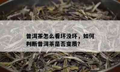 普洱茶怎么看坏没坏，如何判断普洱茶是否变质？