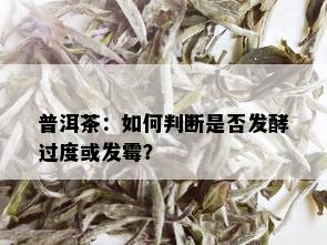 普洱茶：如何判断是否发酵过度或发霉？