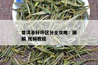 普洱茶好坏区分全攻略：图解 视频教程