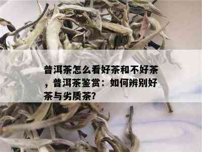 普洱茶怎么看好茶和不好茶，普洱茶鉴赏：如何辨别好茶与劣质茶？