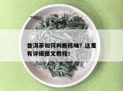 普洱茶如何判断陈味？这里有详细图文教程！