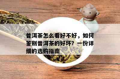 普洱茶怎么看好不好，如何鉴别普洱茶的好坏？一份详细的选购指南