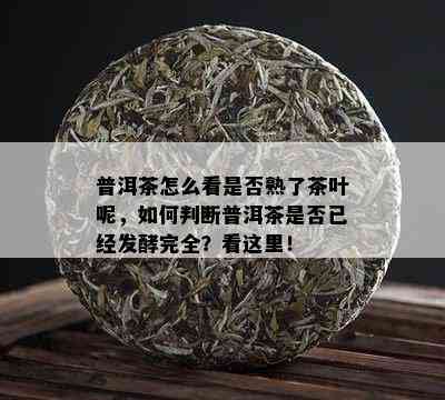 普洱茶怎么看是否熟了茶叶呢，如何判断普洱茶是否已经发酵完全？看这里！