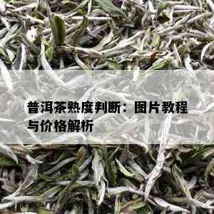 普洱茶熟度判断：图片教程与价格解析