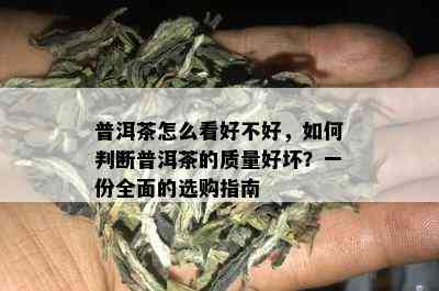 普洱茶怎么看好不好，如何判断普洱茶的质量好坏？一份全面的选购指南