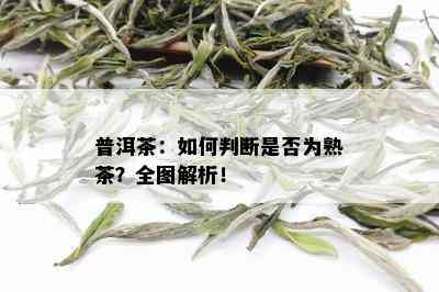 普洱茶：如何判断是否为熟茶？全图解析！