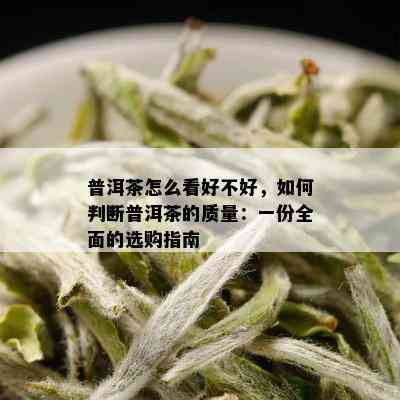 普洱茶怎么看好不好，如何判断普洱茶的质量：一份全面的选购指南