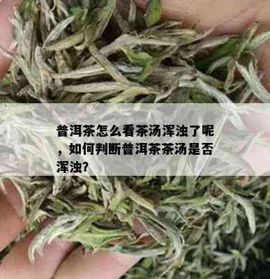 普洱茶怎么看茶汤浑浊了呢，如何判断普洱茶茶汤是否浑浊？