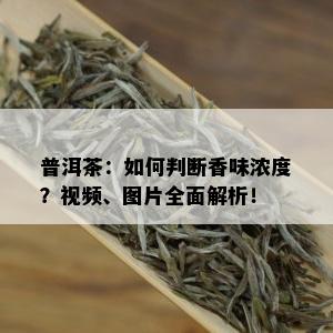 普洱茶：如何判断香味浓度？视频、图片全面解析！