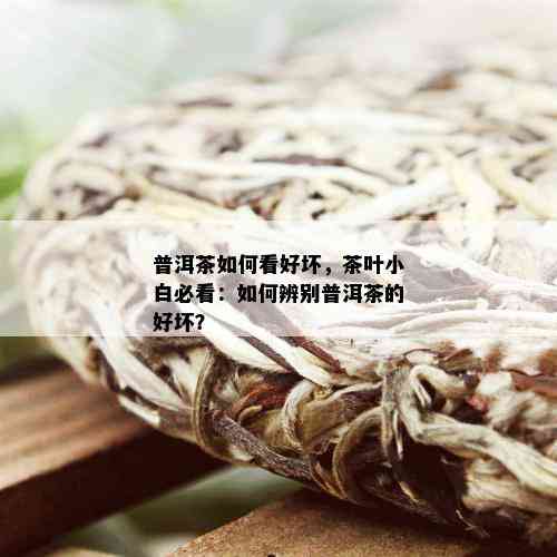 普洱茶如何看好坏，茶叶小白必看：如何辨别普洱茶的好坏？