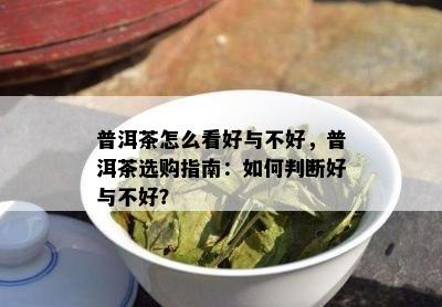 普洱茶怎么看好与不好，普洱茶选购指南：如何判断好与不好？