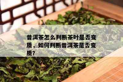 普洱茶怎么判断茶叶是否变质，如何判断普洱茶是否变质？