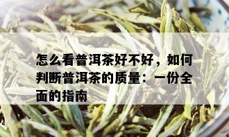 怎么看普洱茶好不好，如何判断普洱茶的质量：一份全面的指南