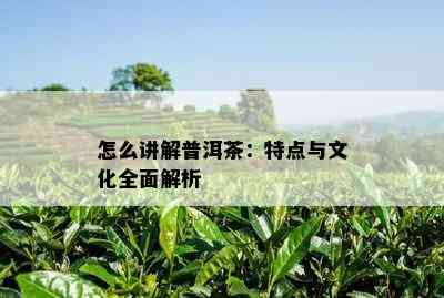 怎么讲解普洱茶：特点与文化全面解析