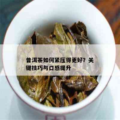 普洱茶如何紧压得更好？关键技巧与口感提升