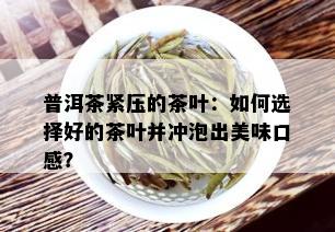 普洱茶紧压的茶叶：如何选择好的茶叶并冲泡出美味口感？